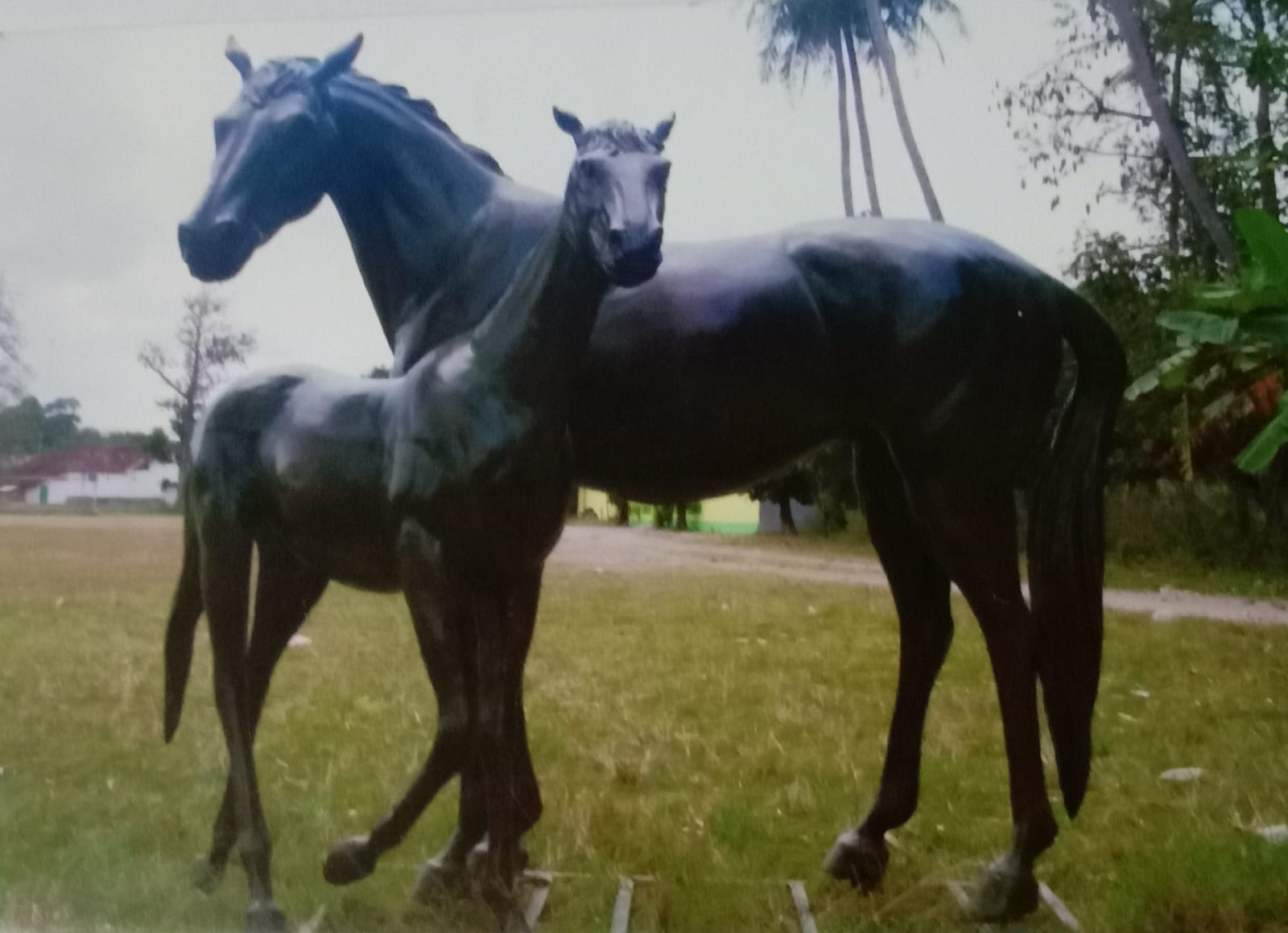Kuda, Besi bekas, las busur, 240 × 180 × 150 cm